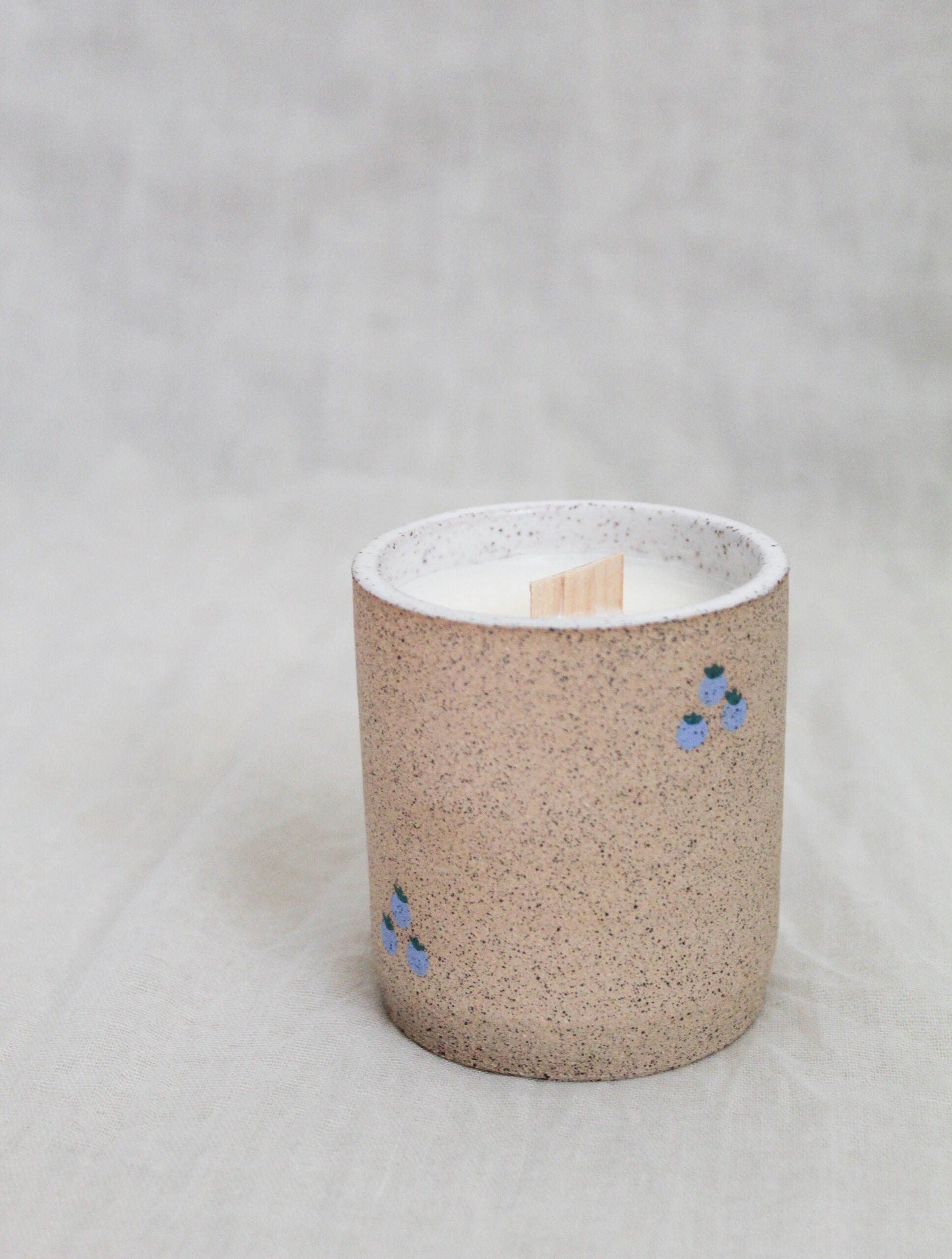 Blueberry Season Mini Candle image 0
