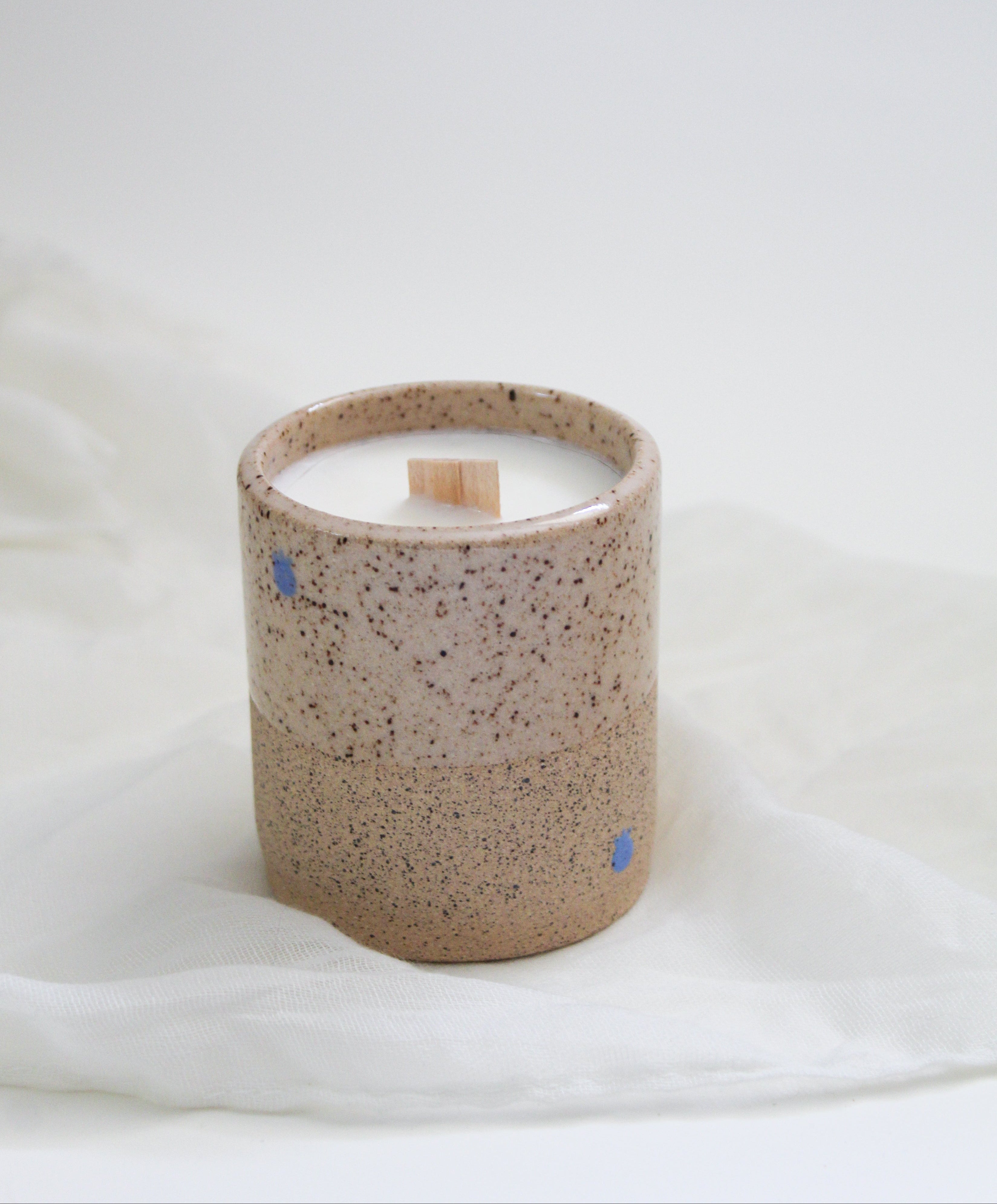 Blueberry Mini Candle