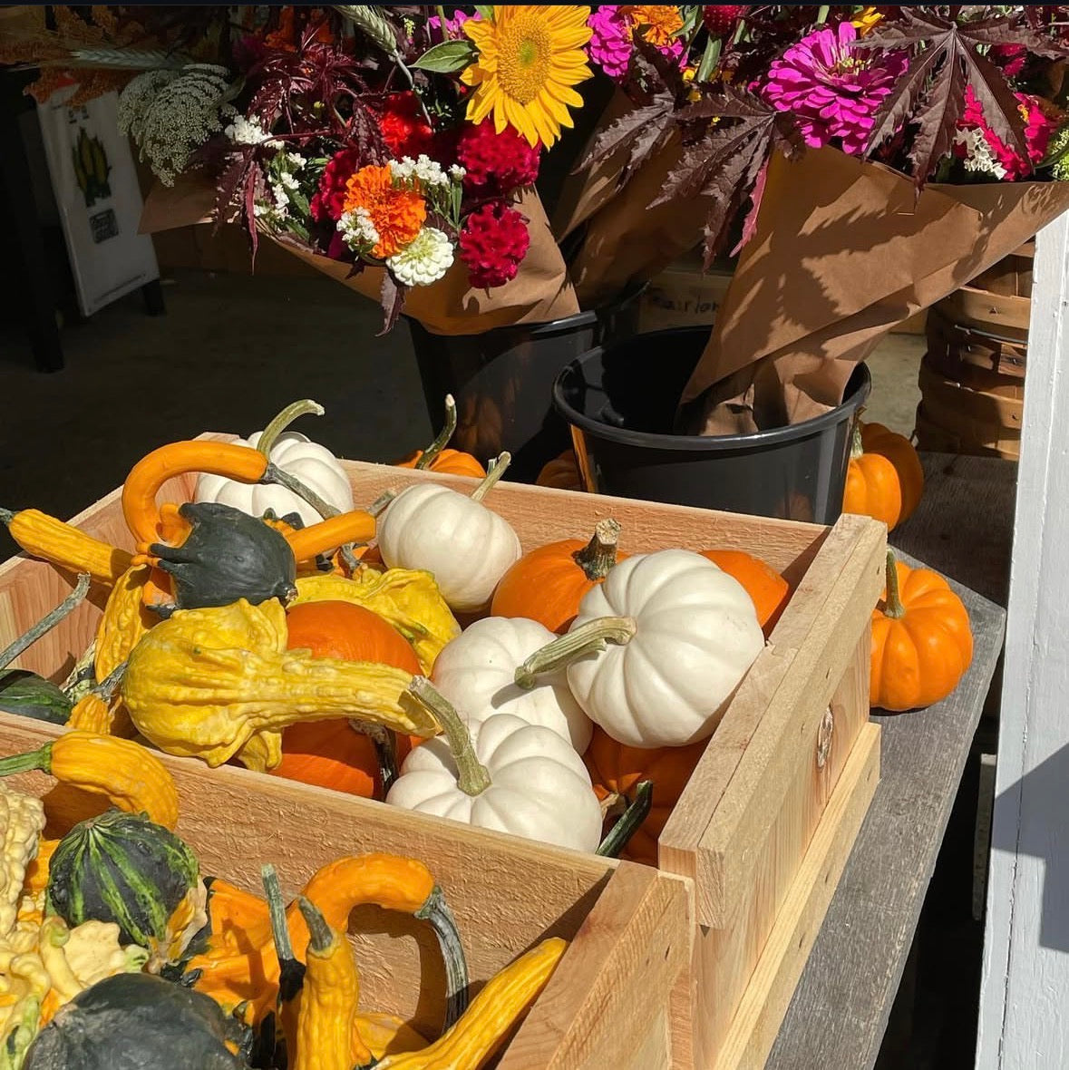 9/19 Sip & Paint Workshop at Sweetsers Apple Orchard
