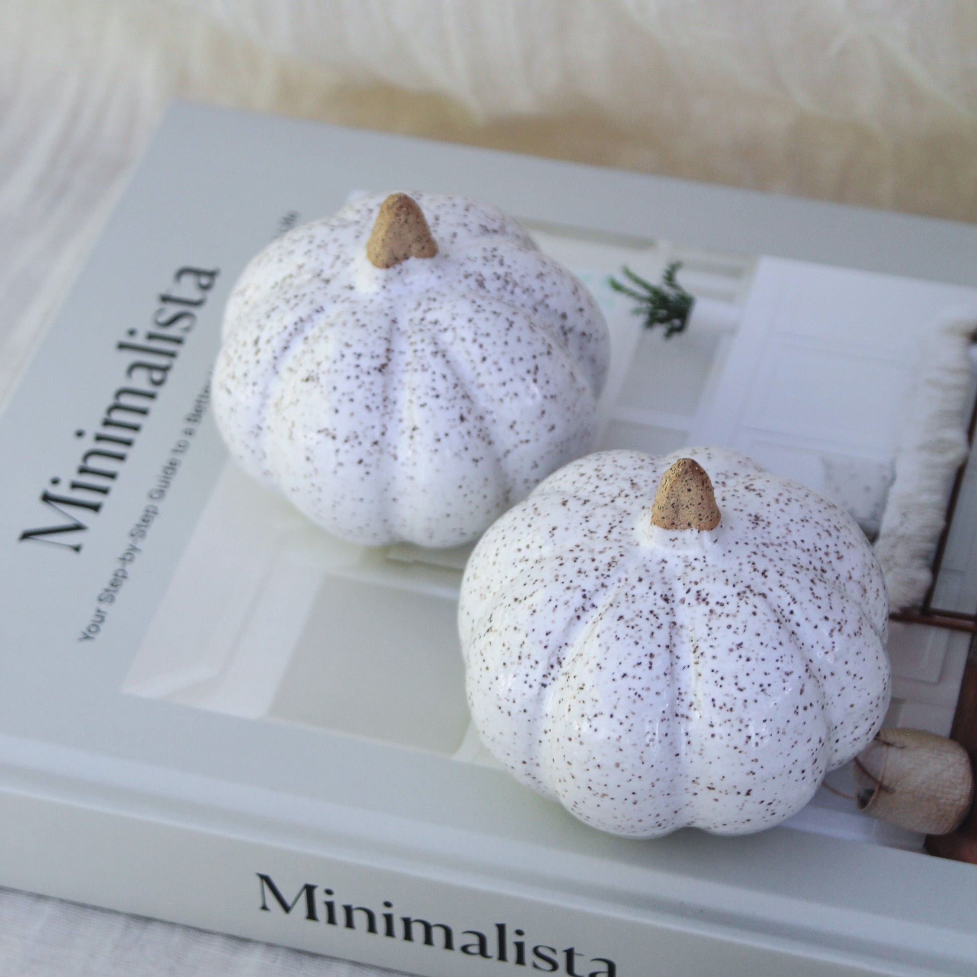 Bright White Pumpkin